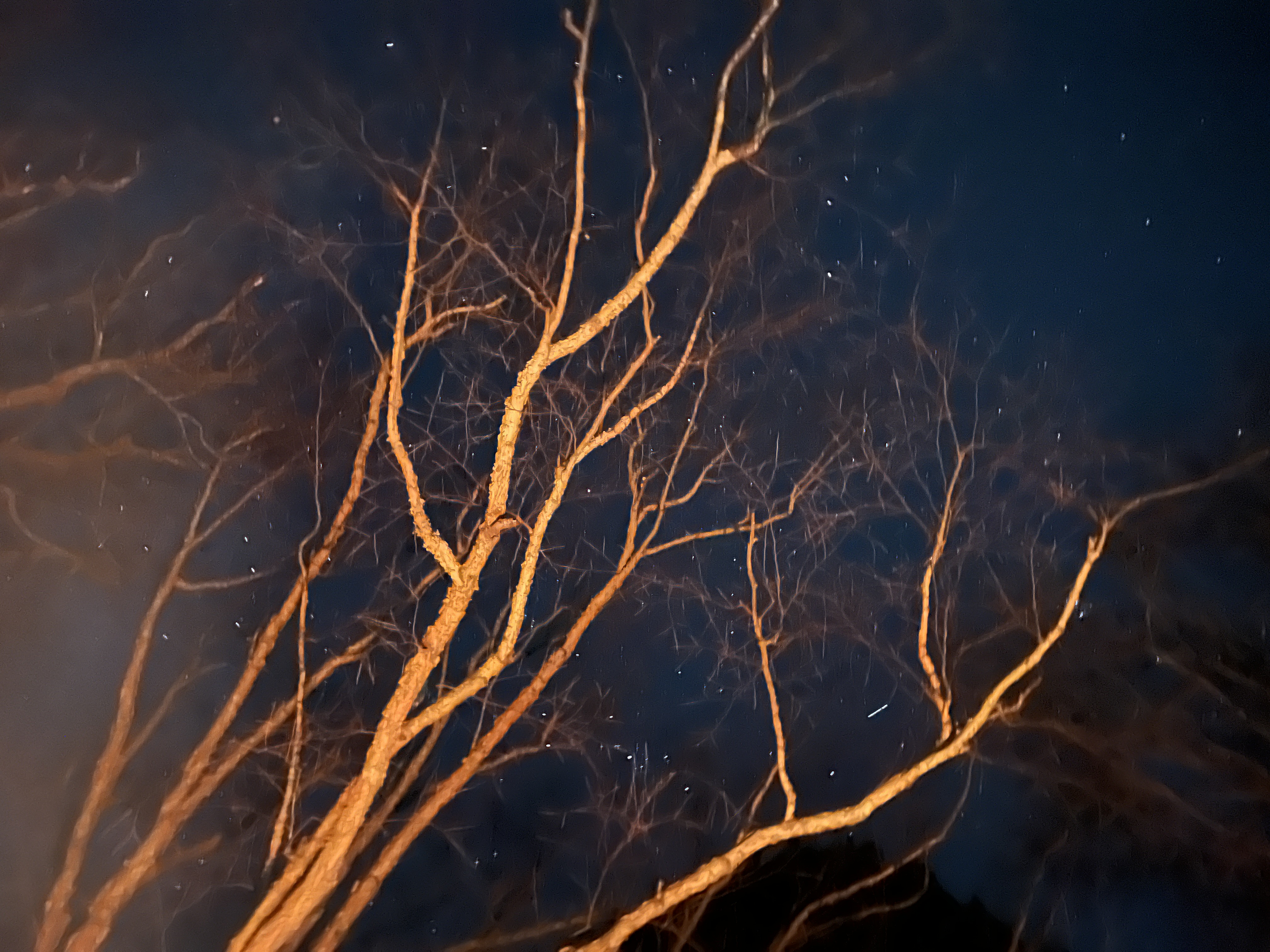 ./2026/01 - Nutbush Bridge/IMG_8011.JPG